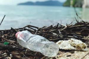 Water Wisdom: Conservation Techniques for Home and Garden