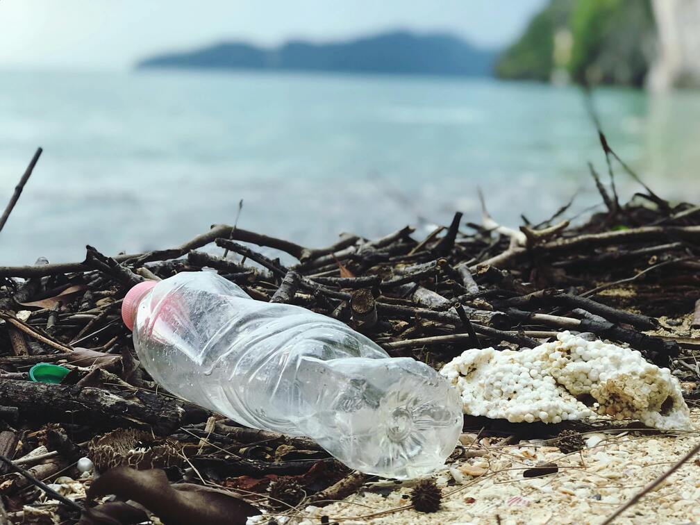 Water Wisdom: Conservation Techniques for Home and Garden